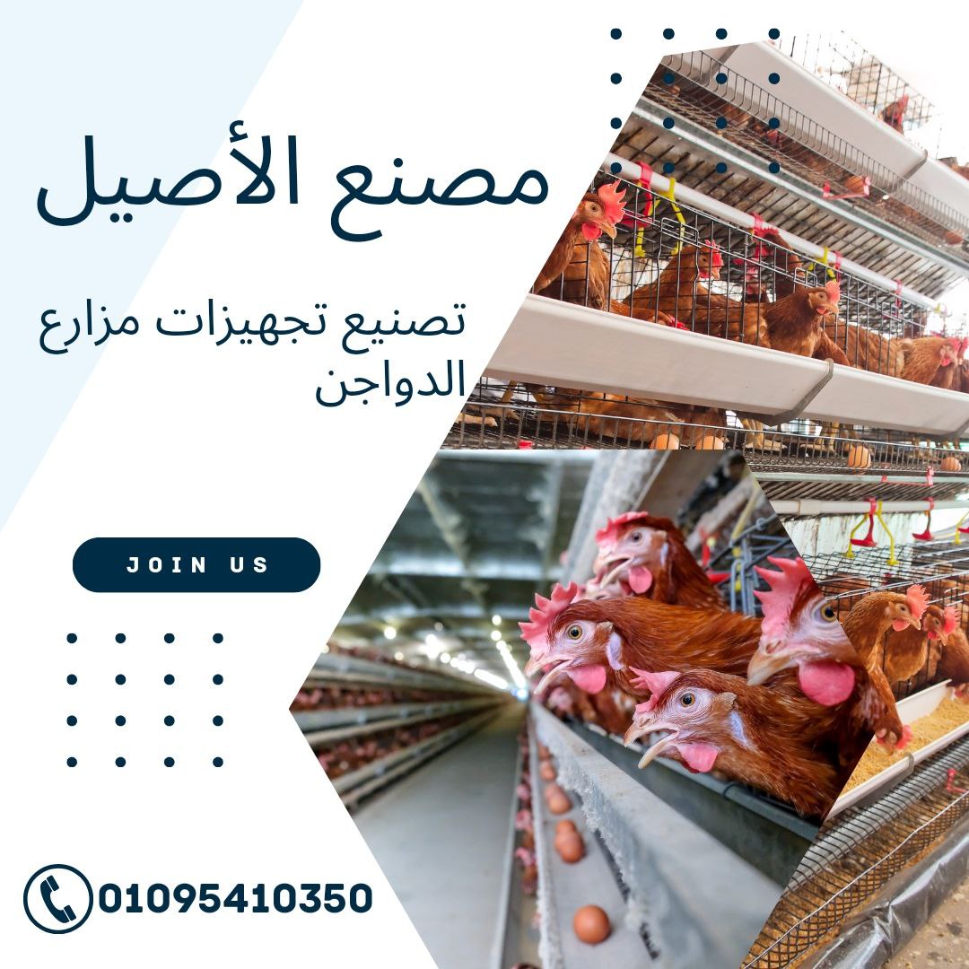  تركيب تجهيزات مزارع الدواجن 